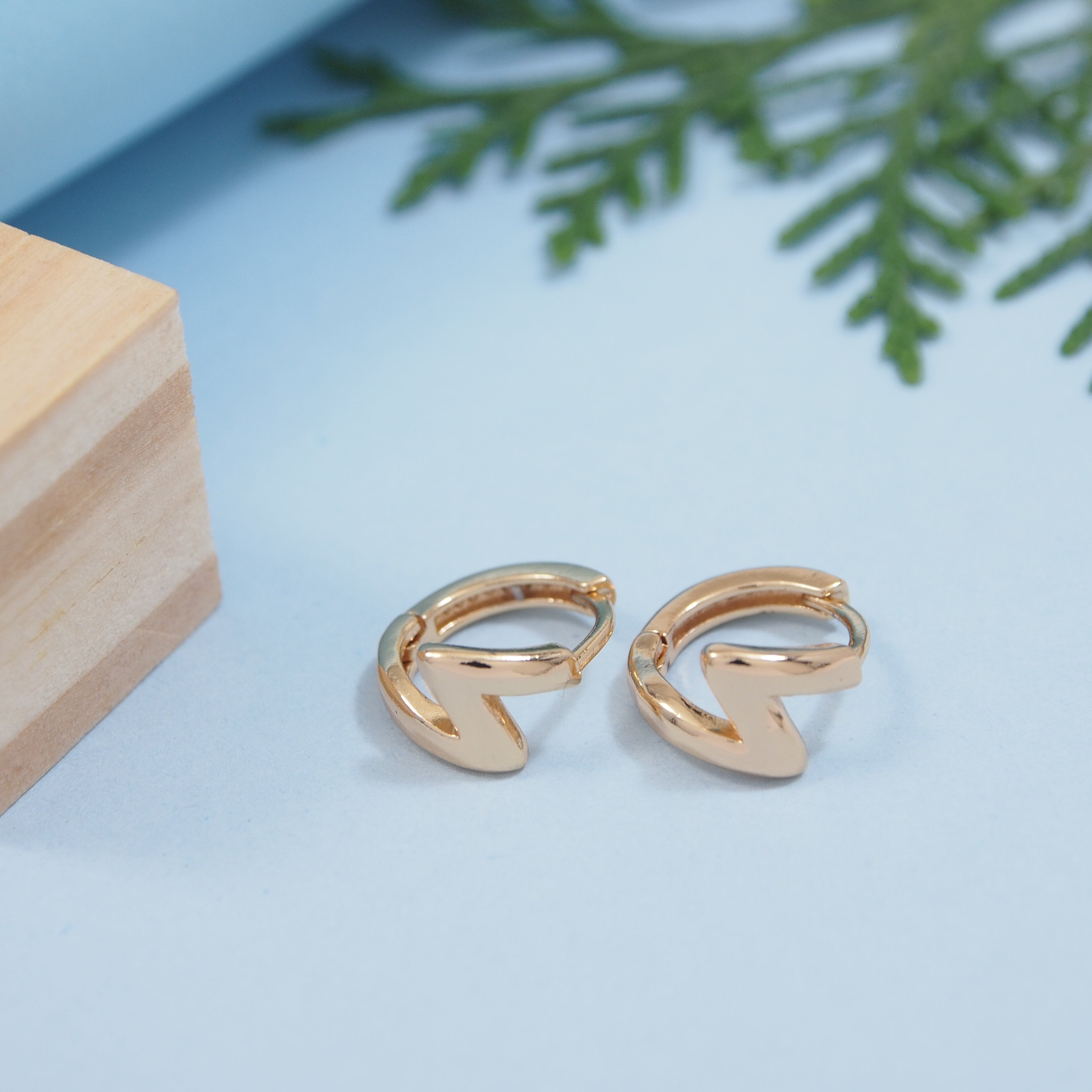 JewelMaze Stainless Steel Hoops Earring