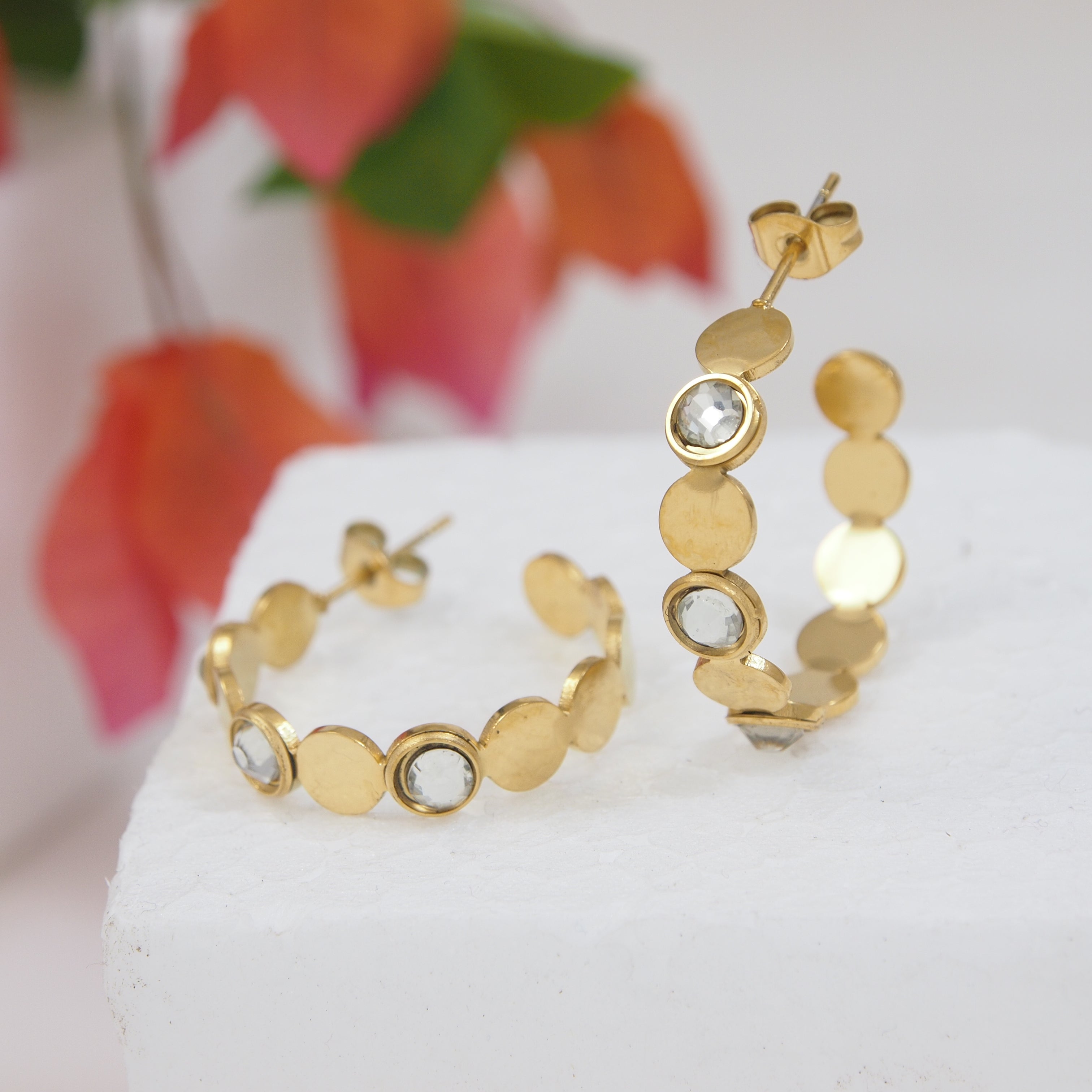 JewelMaze Stainless Steel Hoops Earring