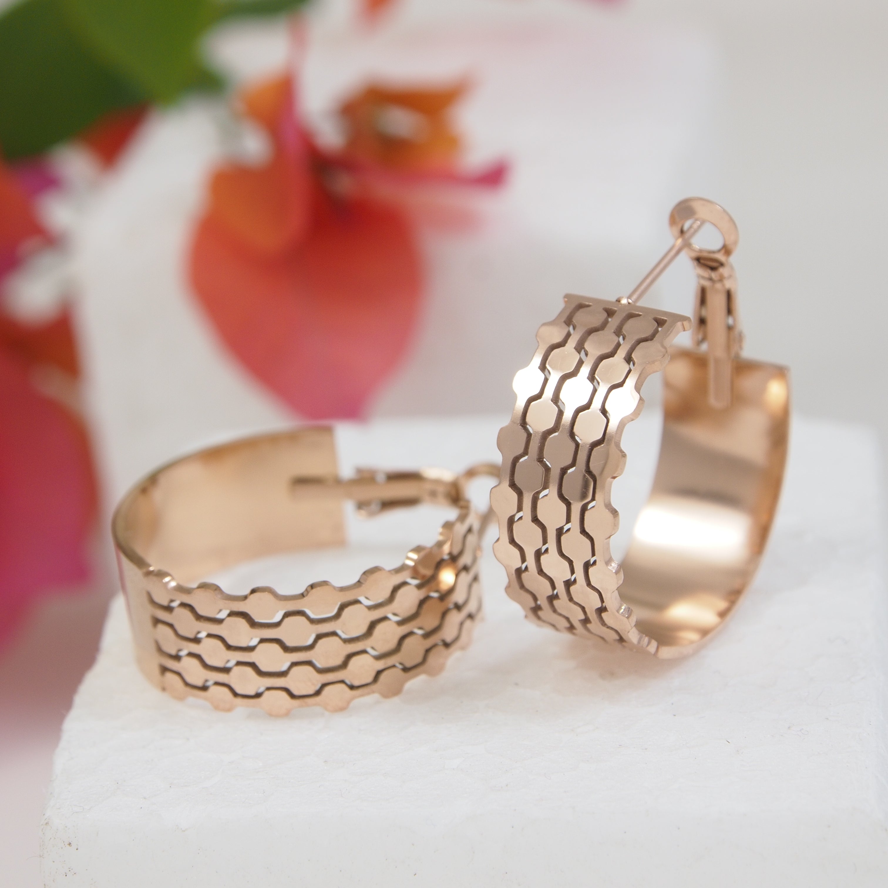 JewelMaze Stainless Steel Hoops Earring