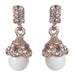 Urbana White Austrian Stone Gold Plated Earrings