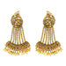 Kriaa Brown Austrian Stone Gold Plated Dangler Earrings