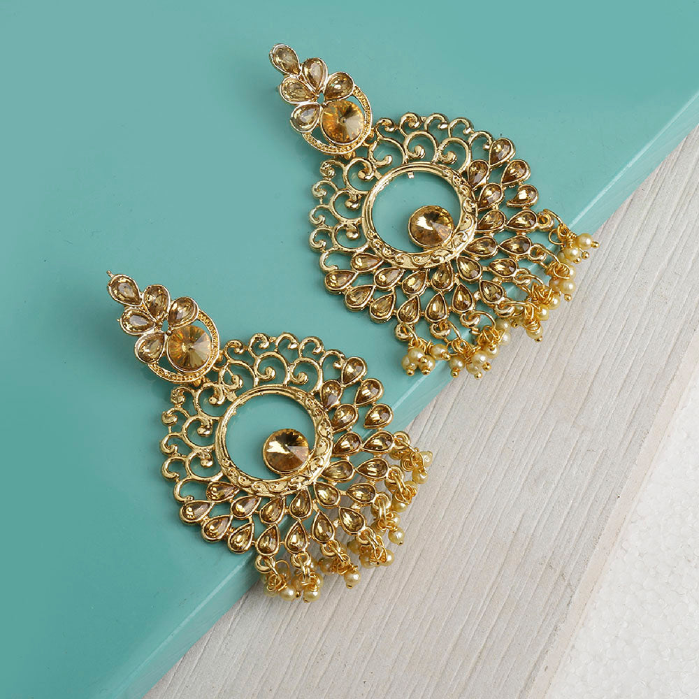 Kord Store Beautiful Flower Shape Pearls Lct Stone Gold Plated Dangle Earring For Women - KSEAR70105